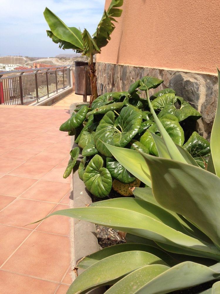 Aparthotel Balcon Del Mar à Porto Rico Extérieur photo